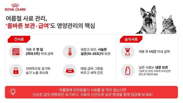 "사료 잘못 보관하면 영양 손실"…여름철 반려동물 사료 관리법