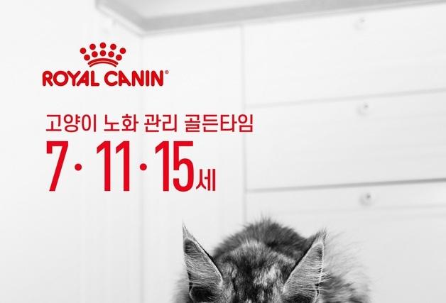 "고양이 노화, 골든타임 7·11·15세"…로얄캐닌 '에이징 캠페인'
