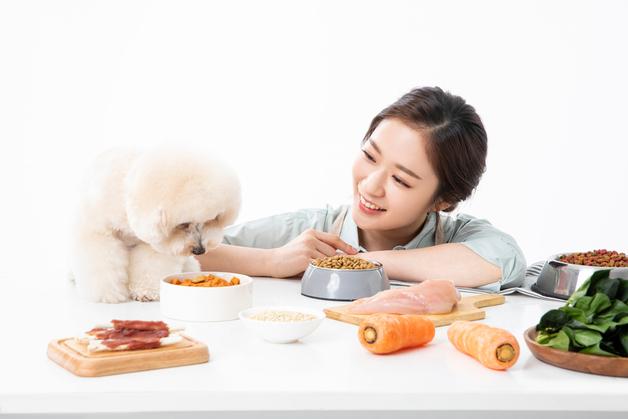 "신장병이라고 무조건 저단백?"…반려동물 식이 오해 짚었다