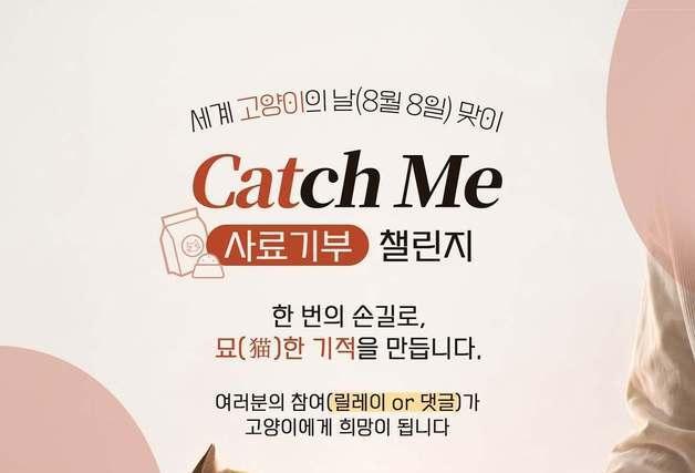 댓글 하나가 사료 기부로…대한수의사회·한국마즈 '캣치미 챌린지'