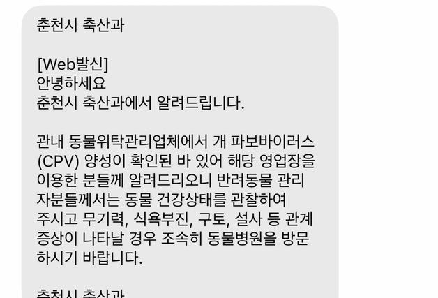 춘천 애견호텔서 폐사한 보더콜리, 부검서 파보바이러스 양성