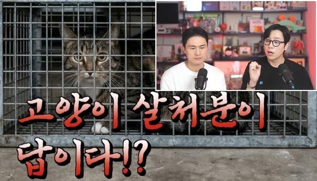 '길고양이 다 없애자' 주장에…수의사들 데이터로 맞섰다