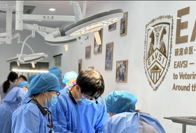 EAVSI, 9월 동물 안과 핸즈온 과정 모집…"중국에서 현장 교육"