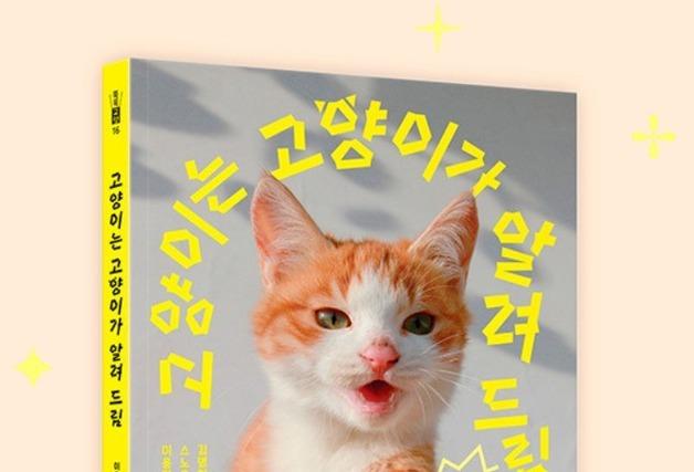 이용한 작가 '고양이는 고양이가 알려드림' 북펀드 진행…8월 출간