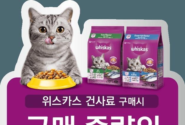 위스카스 사면 유기묘도 돕는다…한국마즈 '고양이의 날' 캠페인