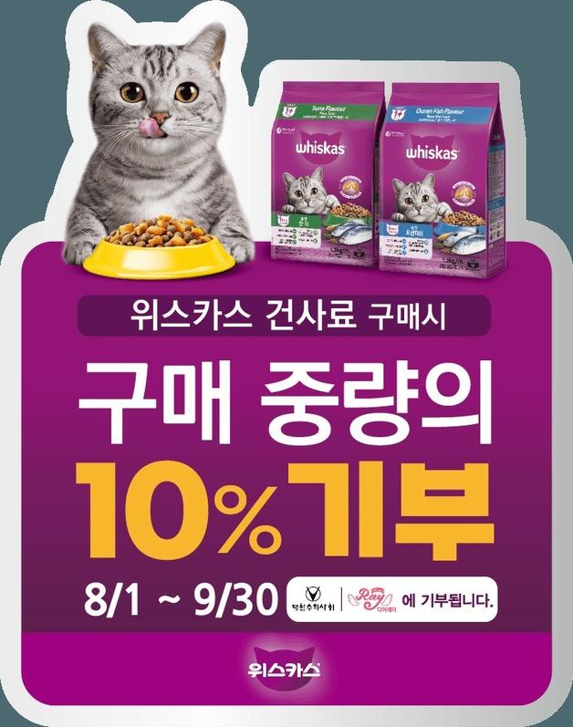 위스카스 사면 유기묘도 돕는다…한국마즈 '고양이의 날' 캠페인