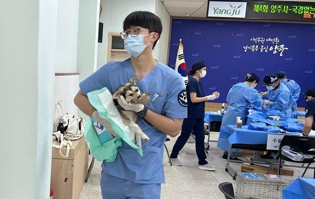 양주시·국경없는수의사회, 45마리 중성화…동물복지 협력 4년째