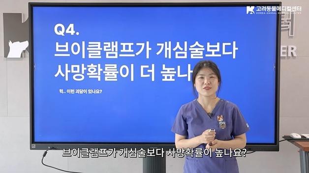 "개심술보다 위험하다?"…강아지 심장병 브이클램프 둘러싼 오해