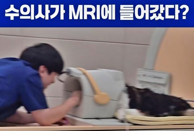 "둘만의 공간에서 사심 채우는 수의사"…MRI 무마취에 담긴 진심