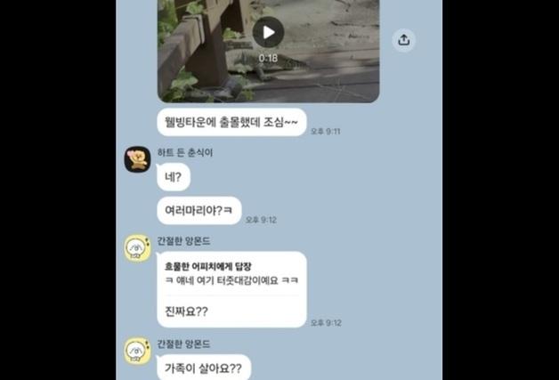 광교 아파트 단지 출몰한 1m 도마뱀 산책로 어슬렁…"애완용이 탈출"