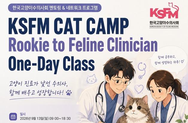 고양이 수의사 위한 원데이 클래스…9월 13일 KSFM 캣 캠프 개최