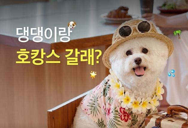 "반려견과 호캉스 떠나요"…네츄럴코어, '세계 개의 날' 이벤트