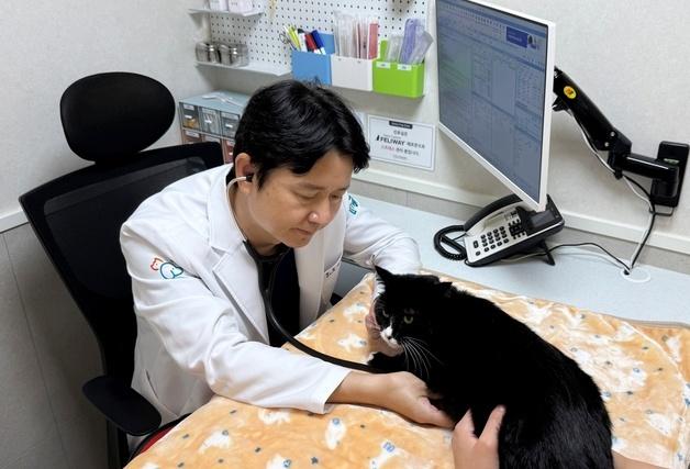 연수동물메디컬센터, 고양이 전용 진료공간 신설…ISFM 인증 받아