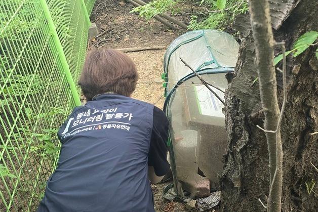 어르신이 동네고양이 살핀 5개월…2380건 모니터링 '성과'