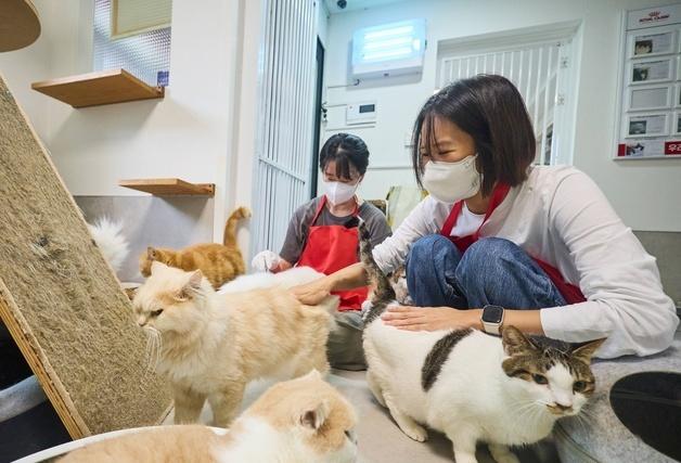 "반려동물 위한 더 나은 세상"…로얄캐닌, 보호소에 사료 후원