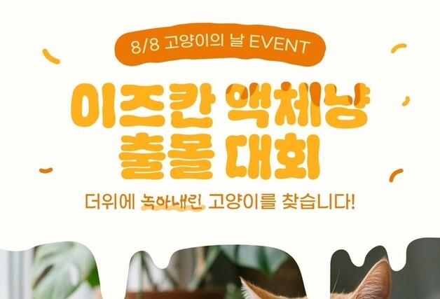 "더위에 녹아내린 액체냥 찾아요"…이즈칸, 고양이의 날 이벤트
