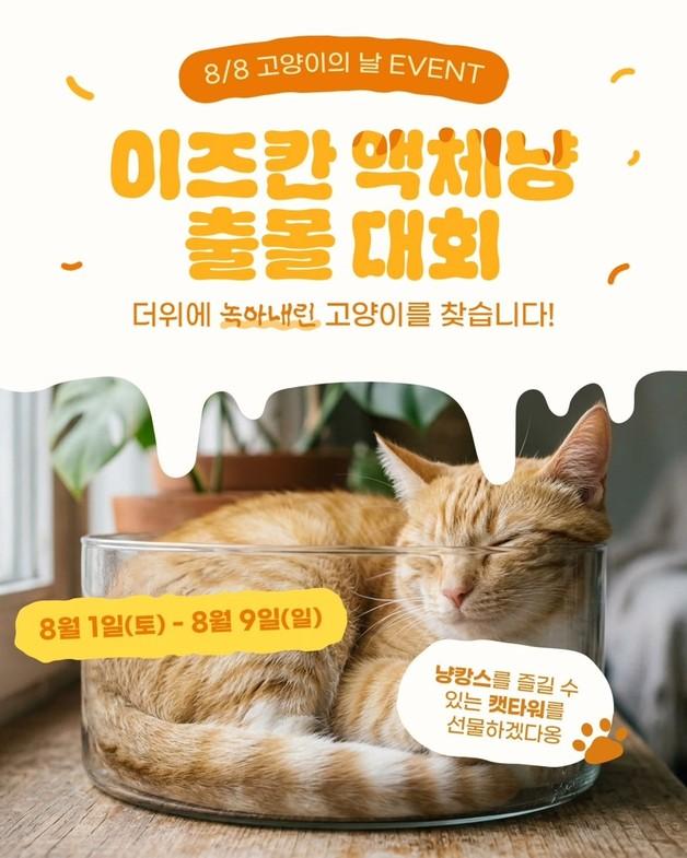 "더위에 녹아내린 액체냥 찾아요"…이즈칸, 고양이의 날 이벤트