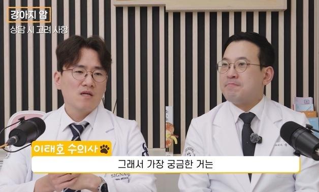 "항암 안 하면 3개월, 치료하면 1년"…강아지 암 치료의 진실