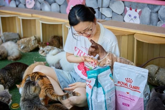 로얄캐닌, 김정난과 함께 고양이보호소에 후원…맞춤 영양 강조