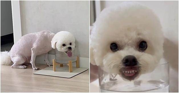 noImage