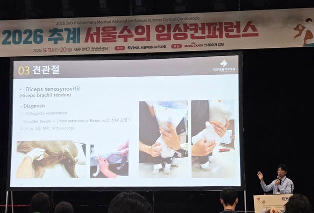 "집에선 분명 절뚝였는데"…병원 가면 멀쩡한 강아지, 이유는