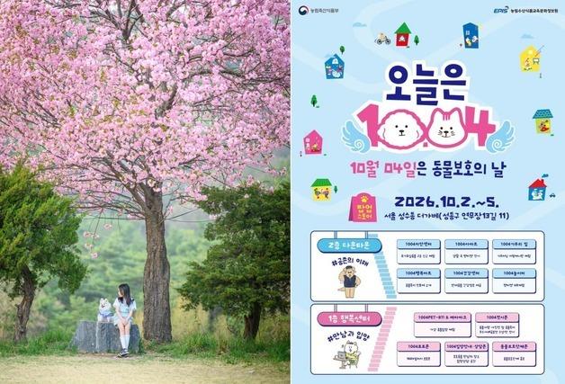 동물사랑 공모전 수상작 선정…'동물보호의 날' 팝업스토어서 공개