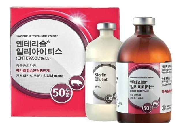 베링거 돼지회장염생백신, 항생제와 병용 가능해져…허가사항 변경