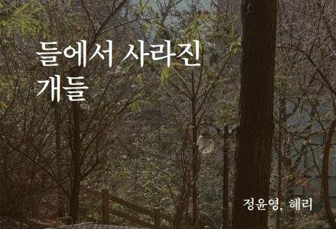 '들에서 사라진 개들' 출간…우리동생동물병원, 9월 19일 북토크
