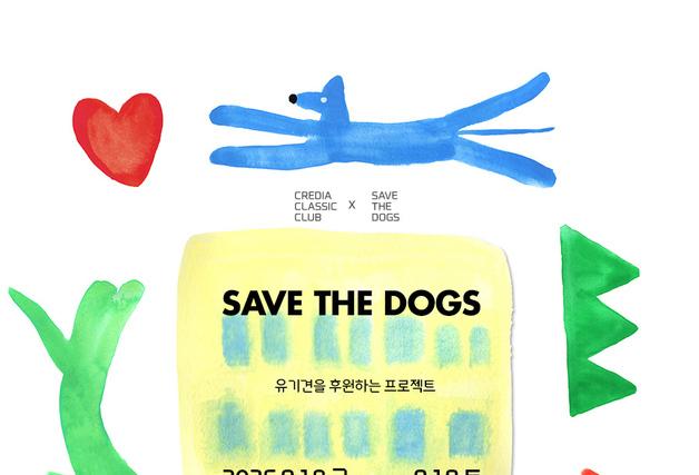 "서촌 공연 보고 유기동물도 지원"…9월 18일 '세이브더독' 개최
