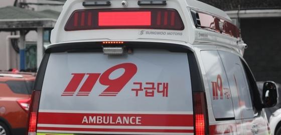 서귀포 목장서 먹이주기 체험 어린이 말 뒷발에 차여 이송