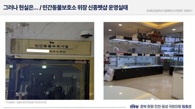 세금으로 펫숍 지원?…'위장 동물 보호소' 정부 등록까지 버젓이