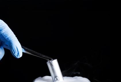 유어벳, '4세대' 동물 구강 개선 성분, '멜팅바이오틱스X' 개발